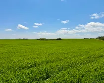 Neudorf-28.jpeg