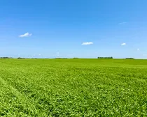Neudorf-30.jpeg
