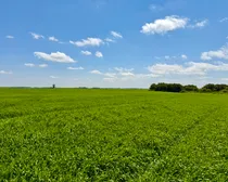 Neudorf-31.jpeg