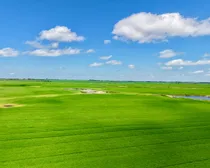 Neudorf-39.jpeg