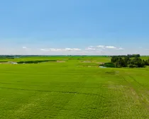 Neudorf-4.jpeg