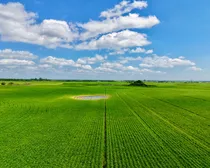 Neudorf-40.jpeg