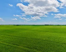 Neudorf-41.jpeg