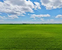 Neudorf-42.jpeg