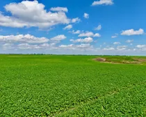 Neudorf-45.jpeg