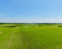 Neudorf-5.jpeg