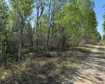 Photo11-2.jpg