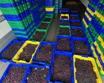 Photo17A.jpg