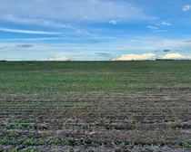 Raymore-107.jpeg