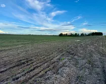 Raymore-109.jpeg