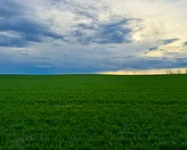 Raymore-110.jpeg
