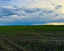 Raymore-113.jpeg