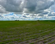 Raymore-19.jpeg