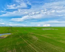 Raymore-74.jpeg