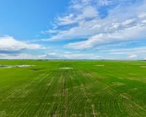 Raymore-77.jpeg