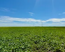 Regina-128.jpeg