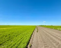 Regina-145.jpeg