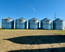 Regina-Banga12-2.jpeg