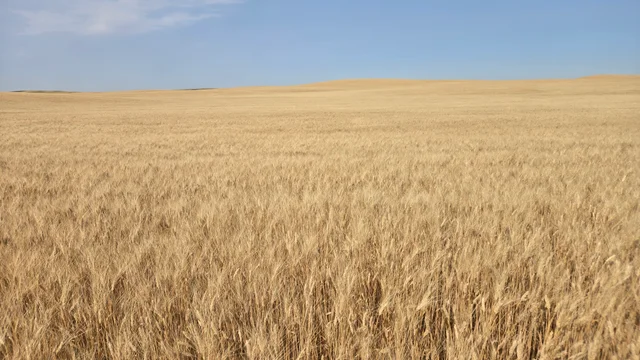 Resized_20250907_144827