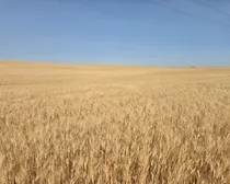 Resized_20250907_144836