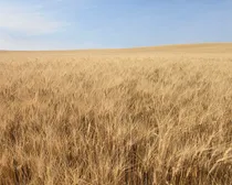 Resized_20250907_145123