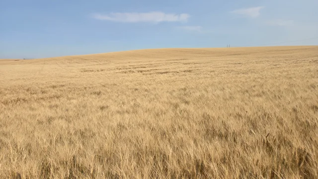 Resized_20250907_145150