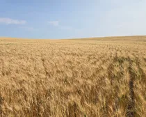 Resized_20250907_145526