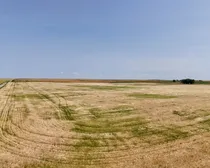 Richmound-32.jpeg