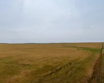 Richmound-35.jpeg