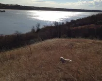 River Bluffs 3 Ginger