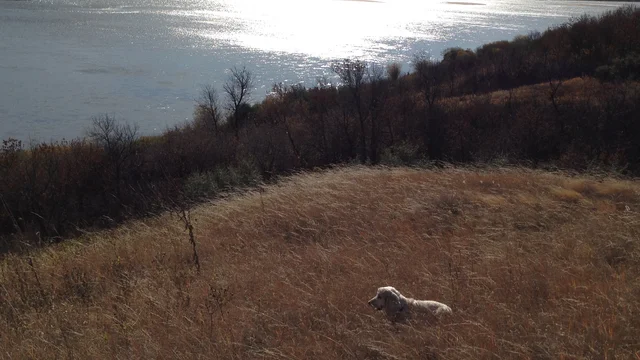 River Bluffs 3 Ginger