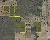 SatelliteImageOutlinedCrown.jpg