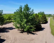dji_fly_20260614_105322_581_1781456019980_photo_optimized-1.jpg