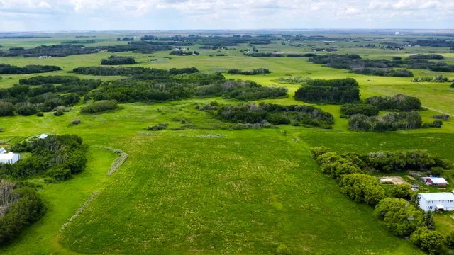 dji_fly_20260617_132218_594_1781724590969_photo_optimized.jpg