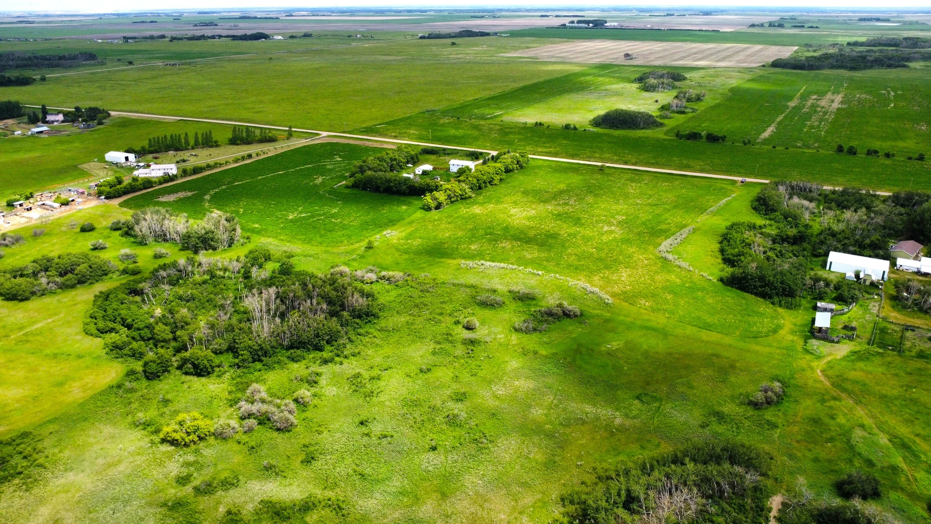 dji_fly_20260617_132438_598_1781724600376_photo_optimized.JPG