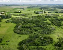 dji_fly_20260617_132604_602_1781724619840_photo_optimized.jpg