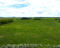 dji_fly_20260617_132906_611_1781724644436_photo_optimized.JPG