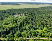 dji_fly_20260618_091234_618_1781795562918_photo_optimized.jpg