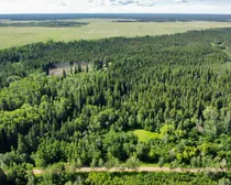 dji_fly_20260618_091244_619_1781795606106_photo_optimized.jpg