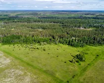 dji_fly_20260618_091544_622_1781795953252_photo_optimized.jpg