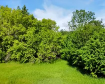 dji_fly_20260618_093432_638_1781797317845_photo_optimized.jpg