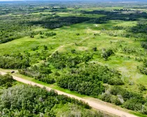 dji_fly_20260618_113522_651_1781804136954_photo_optimized.jpg