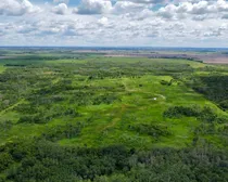 dji_fly_20260618_113714_655_1781804257455_photo_optimized.jpg