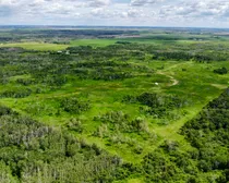dji_fly_20260618_113736_656_1781804270835_photo_optimized.jpg