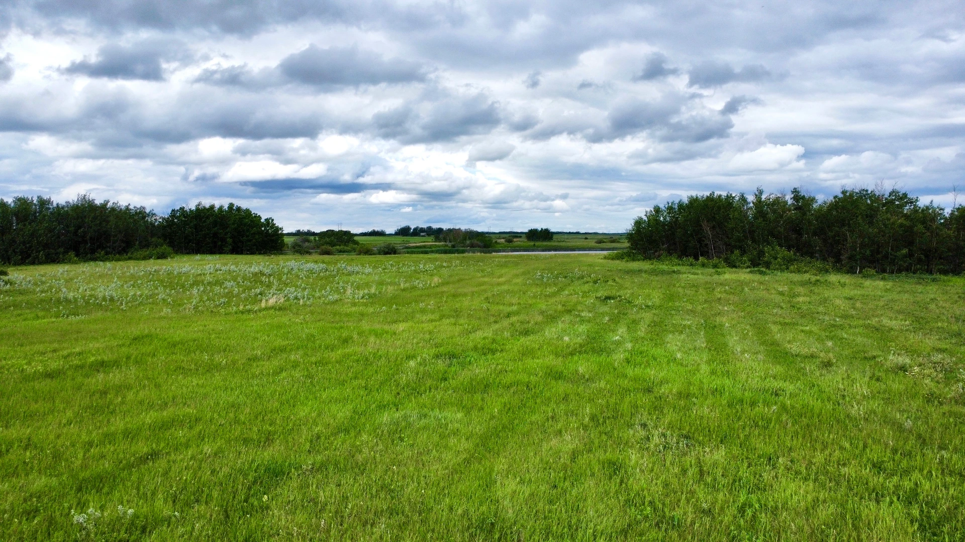 dji_fly_20260622_120838_732_1782151725882_photo_optimized.jpg