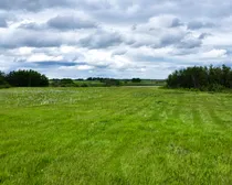 dji_fly_20260622_120838_732_1782151725882_photo_optimized.jpg