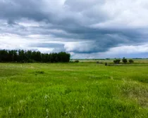 dji_fly_20260622_121626_750_1782152235054_photo_optimized.jpg