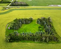 dji_fly_20260714_182820_997_1784075593807_photo_optimized.jpg