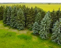 dji_fly_20260714_182942_2_1784075590325_photo_optimized.jpg