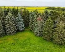 dji_fly_20260714_183002_4_1784075588529_photo_optimized.jpg